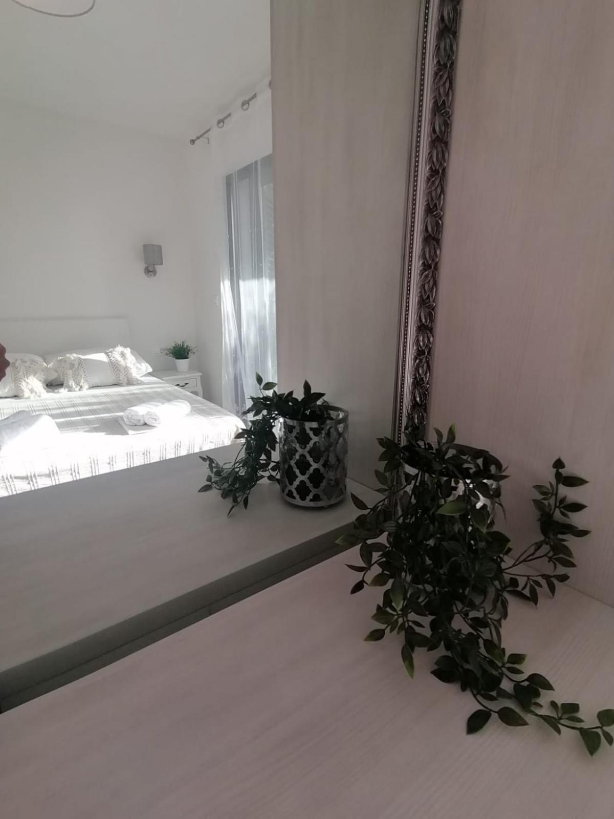 Apartmani Zoric Vodice Quarto foto